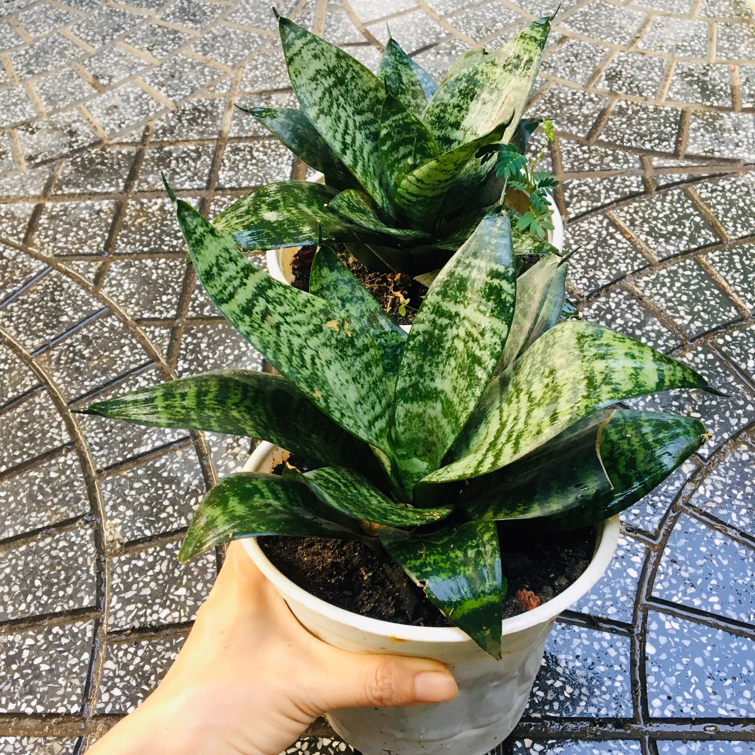 13c61bfb0d24b64eb5c73debbe3c8c4c