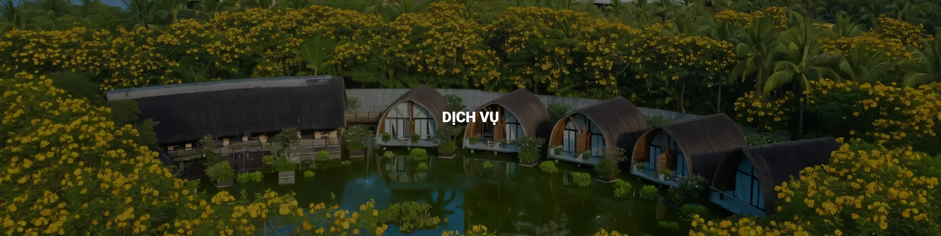 Dịch vụ