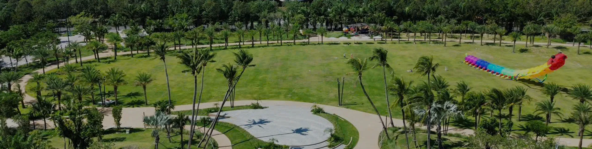 Dự án