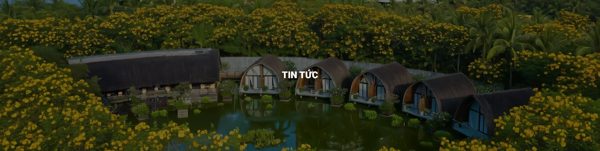 Tin tức