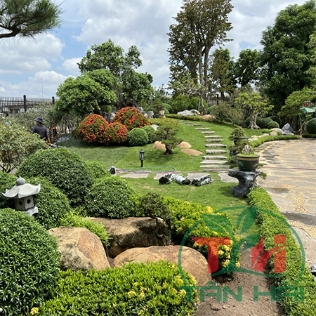 Xu hướng thiết kế cảnh quan sân vườn hiện đại năm 2025