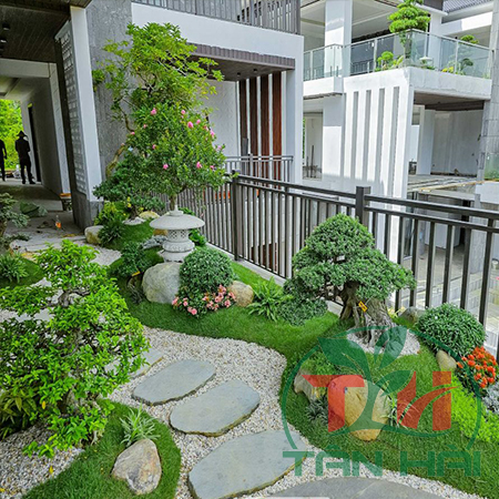 Cách Bố Trí Cây Xanh Giúp Không Gian Sống Trở Nên Hài Hòa Và Thư Giãn