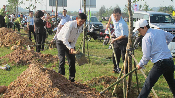 Chủ Động Sản Xuất Giống Cây Lâm Nghiệp Chất Lượng